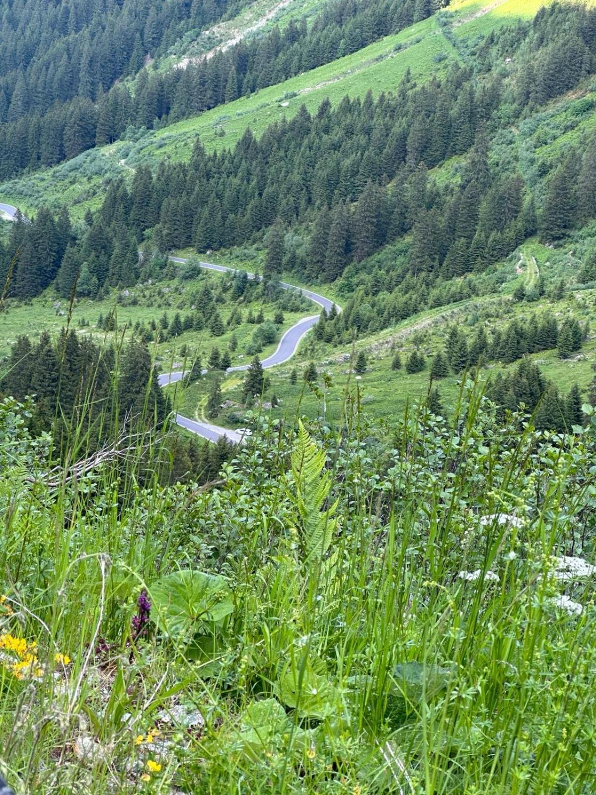 Apart Alpenpension Maderer Гашум Экстерьер фото